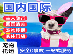 萧山机场邮寄国际宠物托运 【国